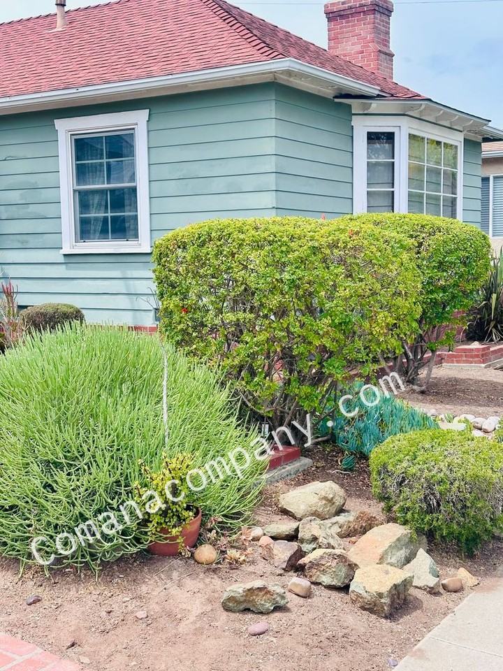 4806 Aragon Dr - Photo 4 of 33