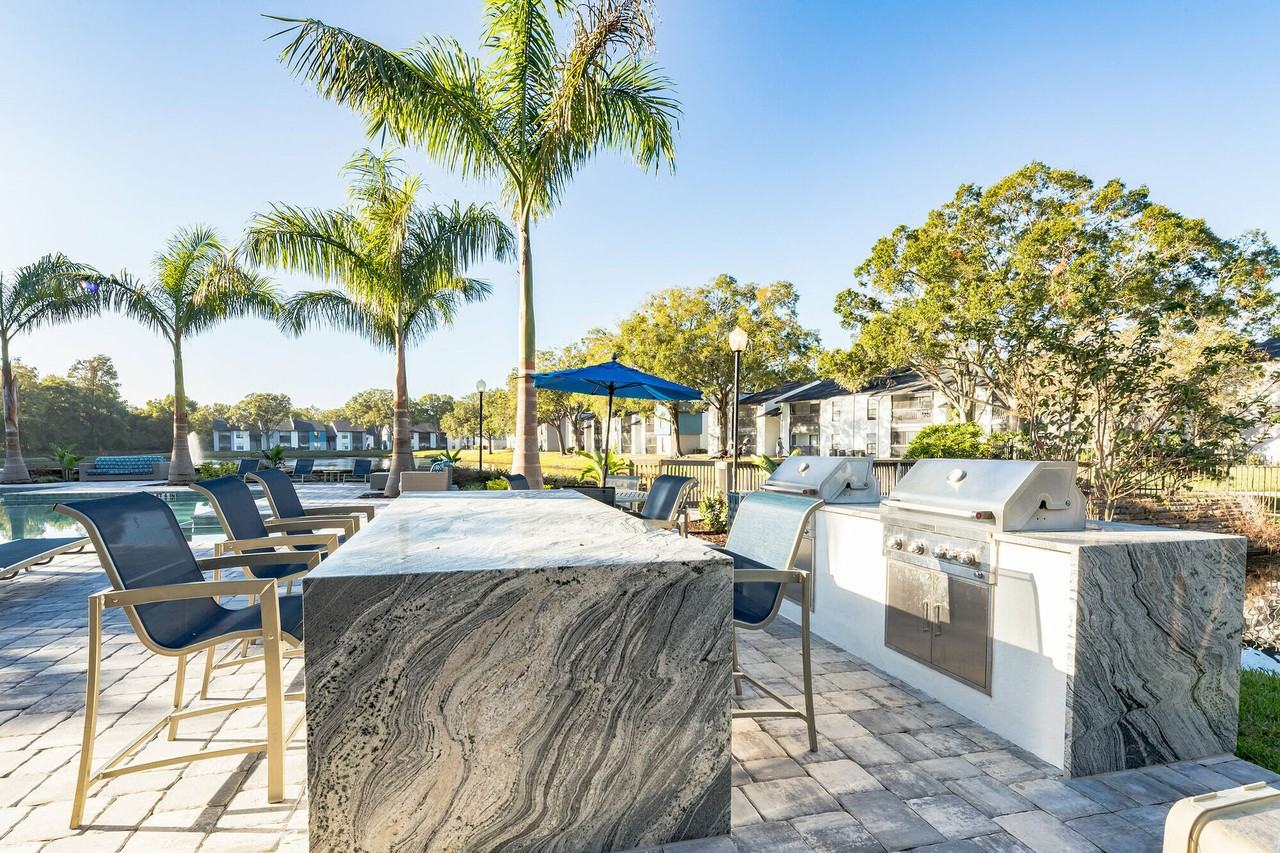 Avion at Carrollwood - Photo 5 of 42