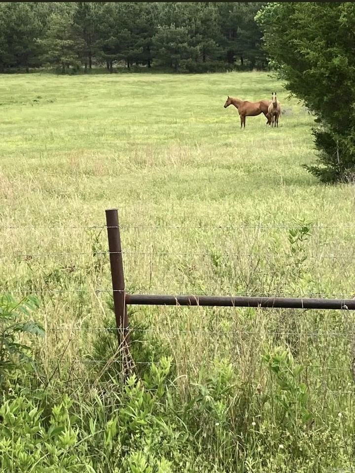 8069 E Highway 64 - Photo 3 of 7