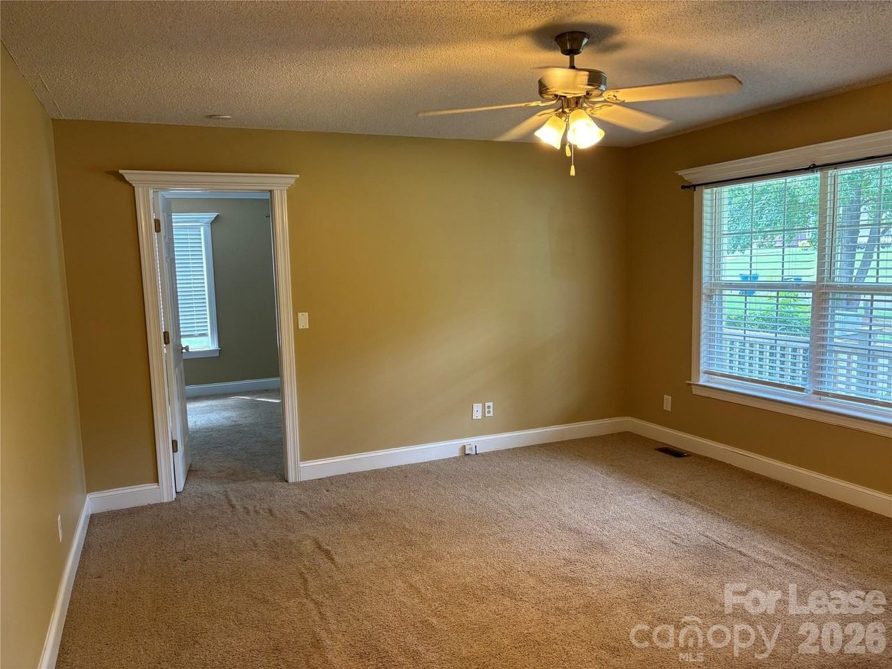 316 Springhill Ln - Photo 3 of 12