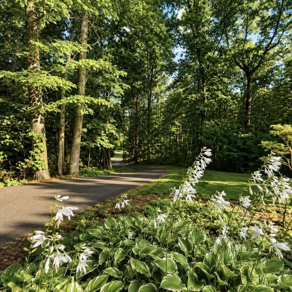 3137 Rauschenberg Rd Nw - Photo 4 of 25