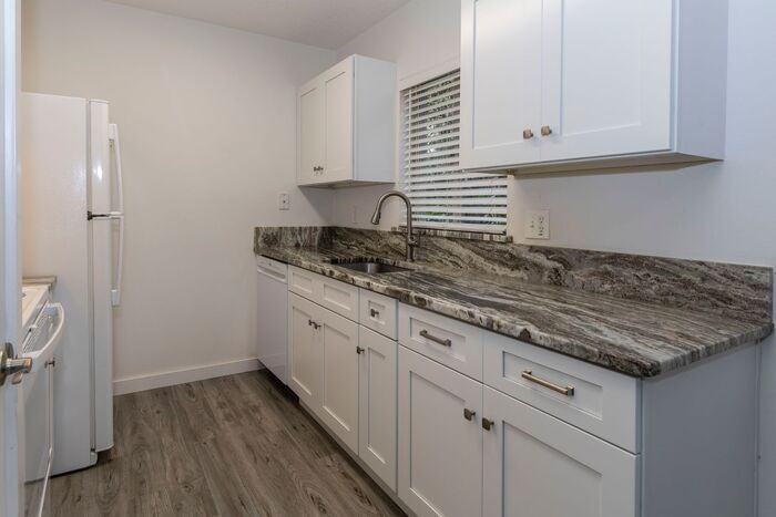 506 Rugby St - Photo 5 of 23