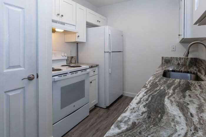 506 Rugby St - Photo 6 of 23