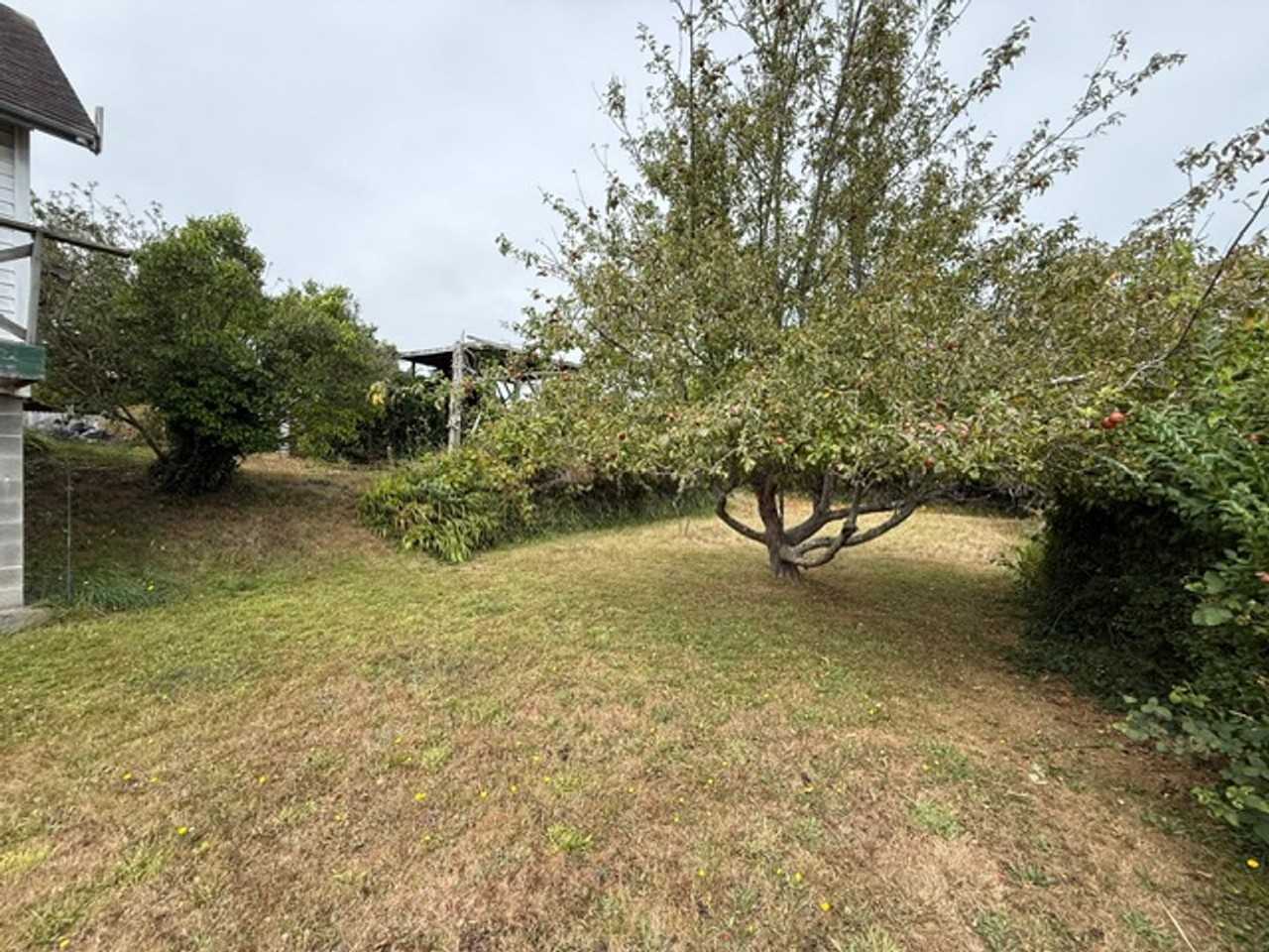 1524 Sheridan Ave - Photo 2 of 39