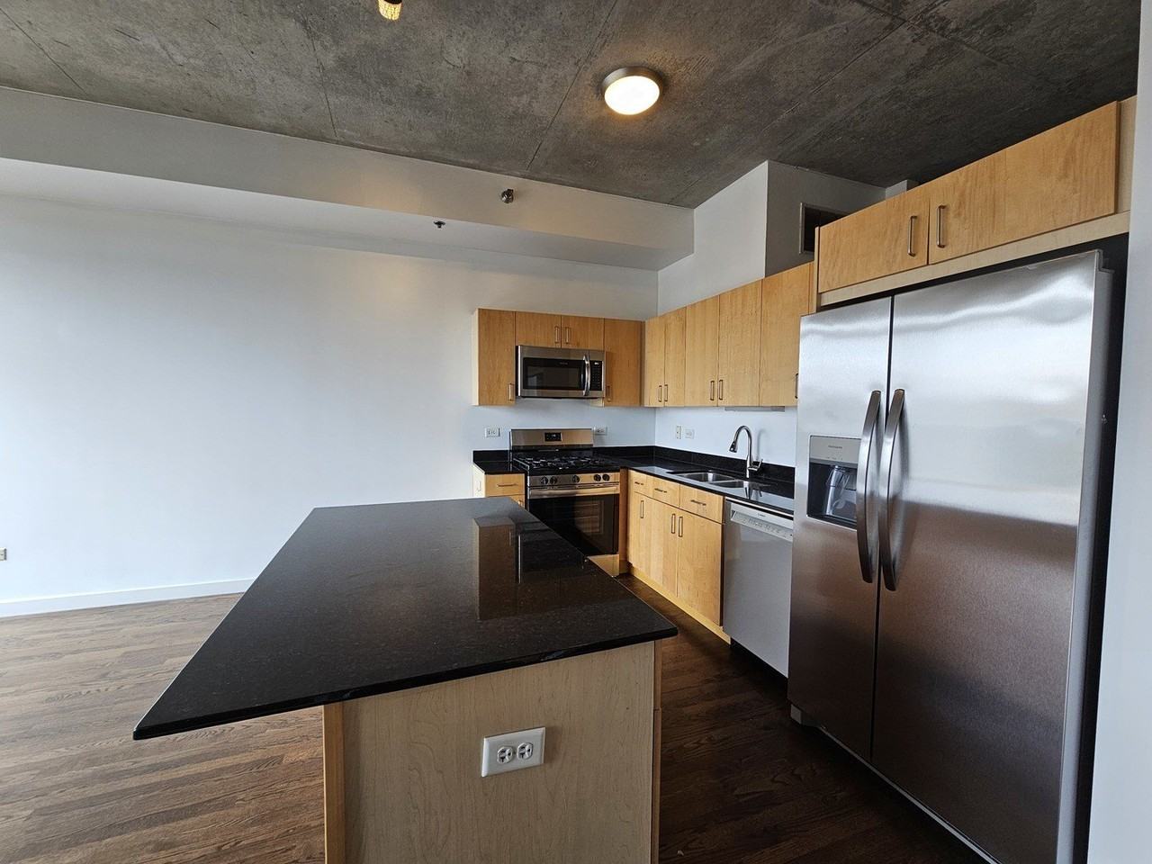 1620 S Michigan Ave #322 - Photo 3 of 18