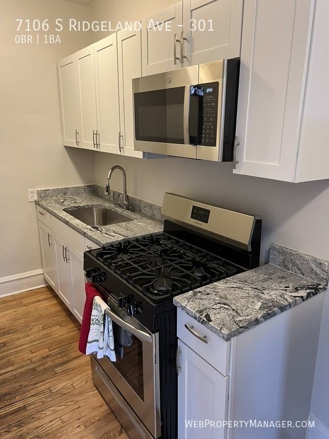 7106 S Ridgeland Ave #301 - Photo 6 of 12