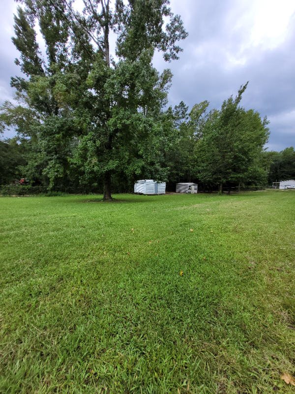 375 Lee Road 219 - Photo 6 of 42
