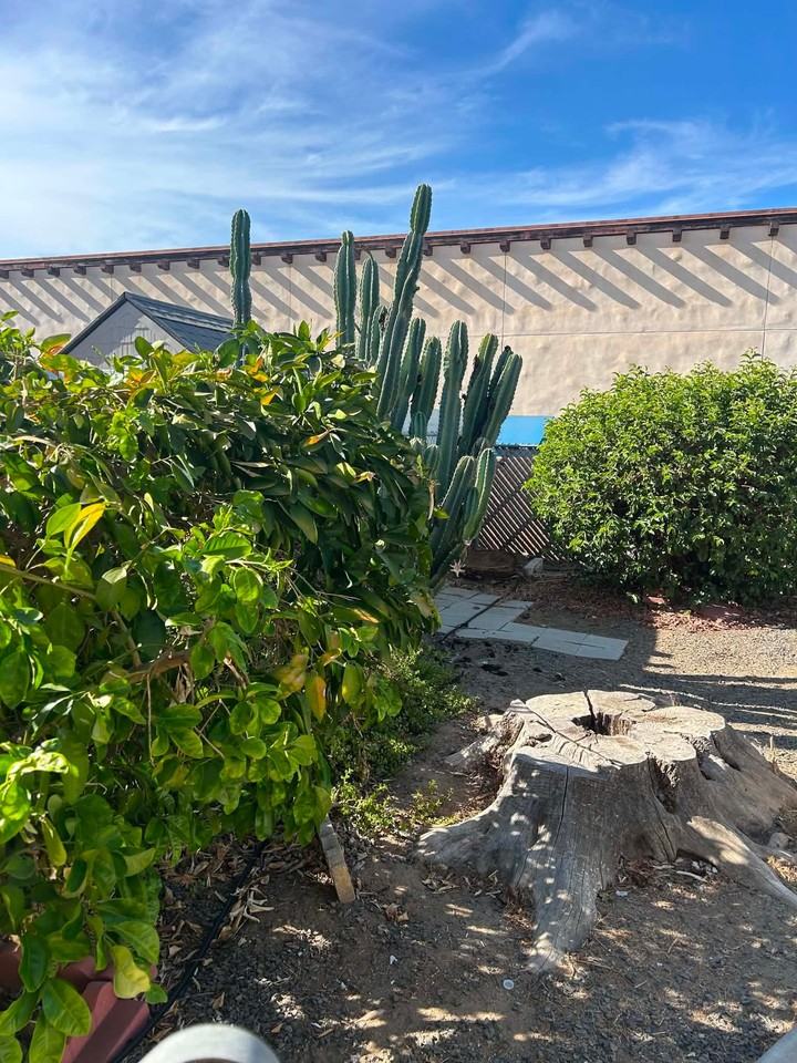 26030 San Quintin Rd - Photo 4 of 20