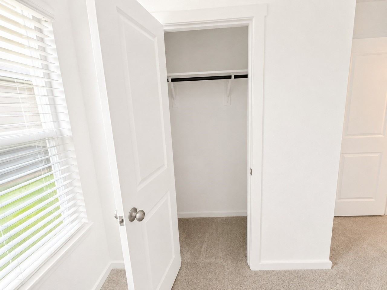 608 Sandhill Crane Ln - Photo 6 of 13