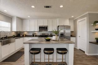 803 Armadillo St - Photo 1 of 1