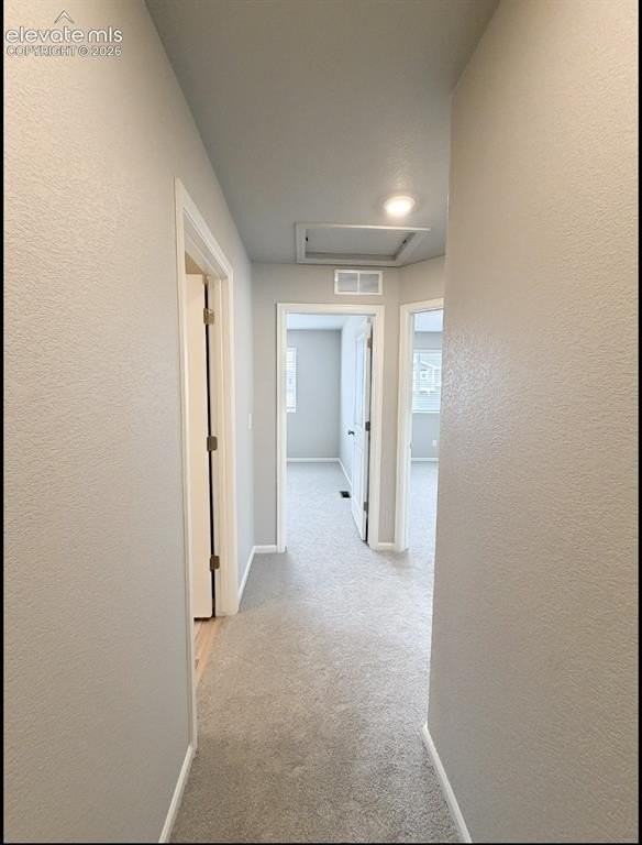 9409 Oro City Loop - Photo 5 of 24