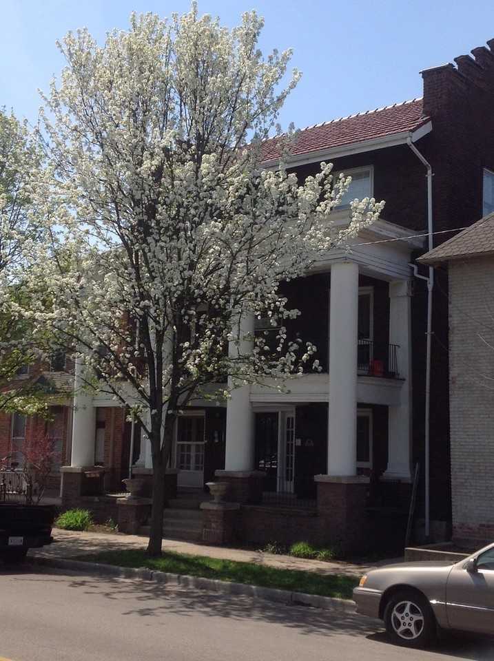 422 N 6th St - Photo 2 of 2