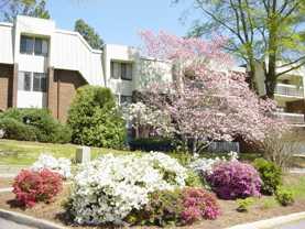 500 Umstead Dr - Photo 1 of 1
