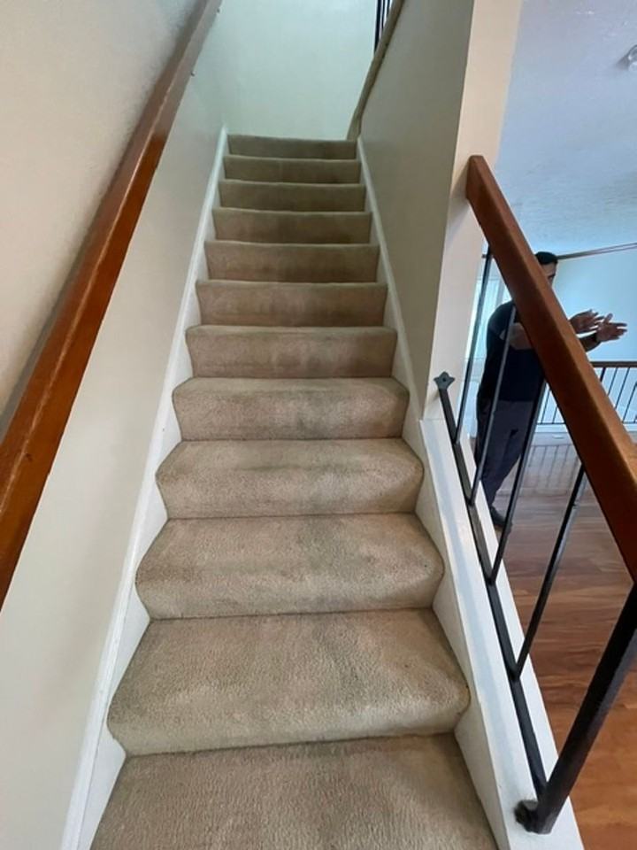 806 Flagler Dr - Photo 6 of 21