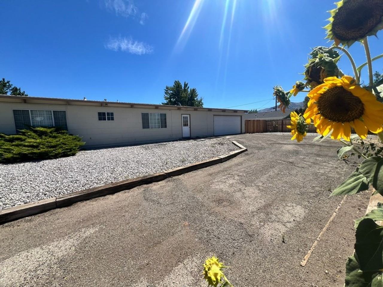 13625 Mount Olympus St - Photo 3 of 19