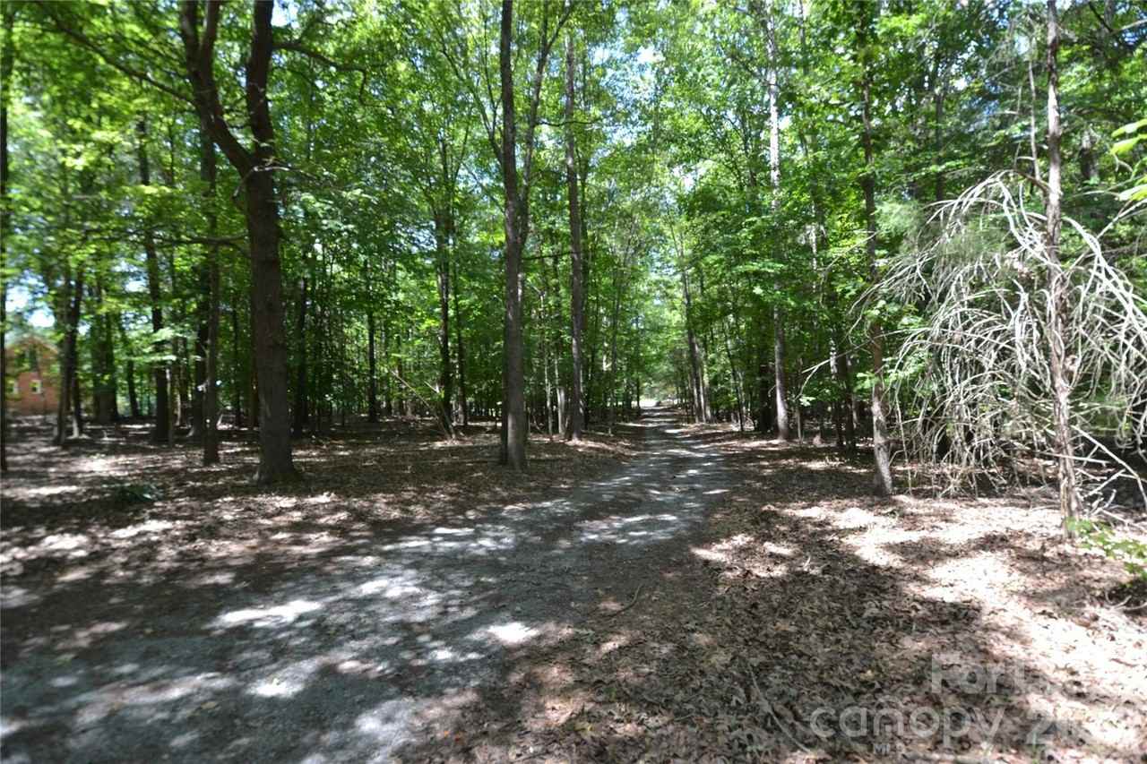 7015 Spruce Pine Trl - Photo 4 of 45