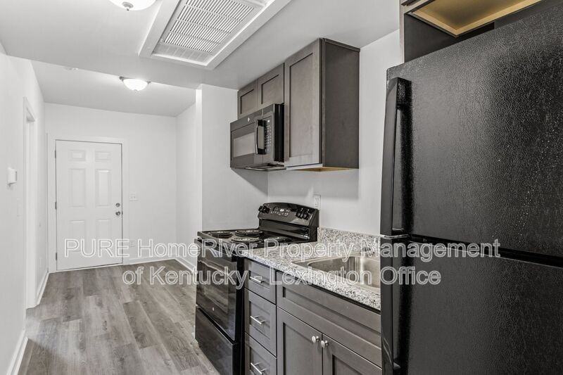 725 E College St - Photo 4 of 20