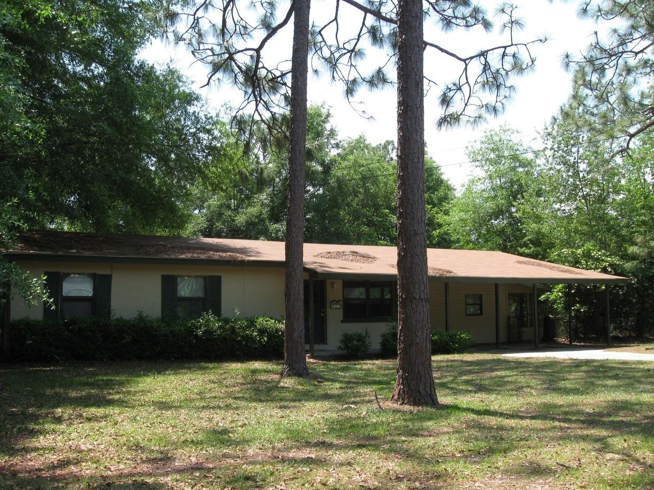 823 Greenleaf Dr - Photo 2 of 2