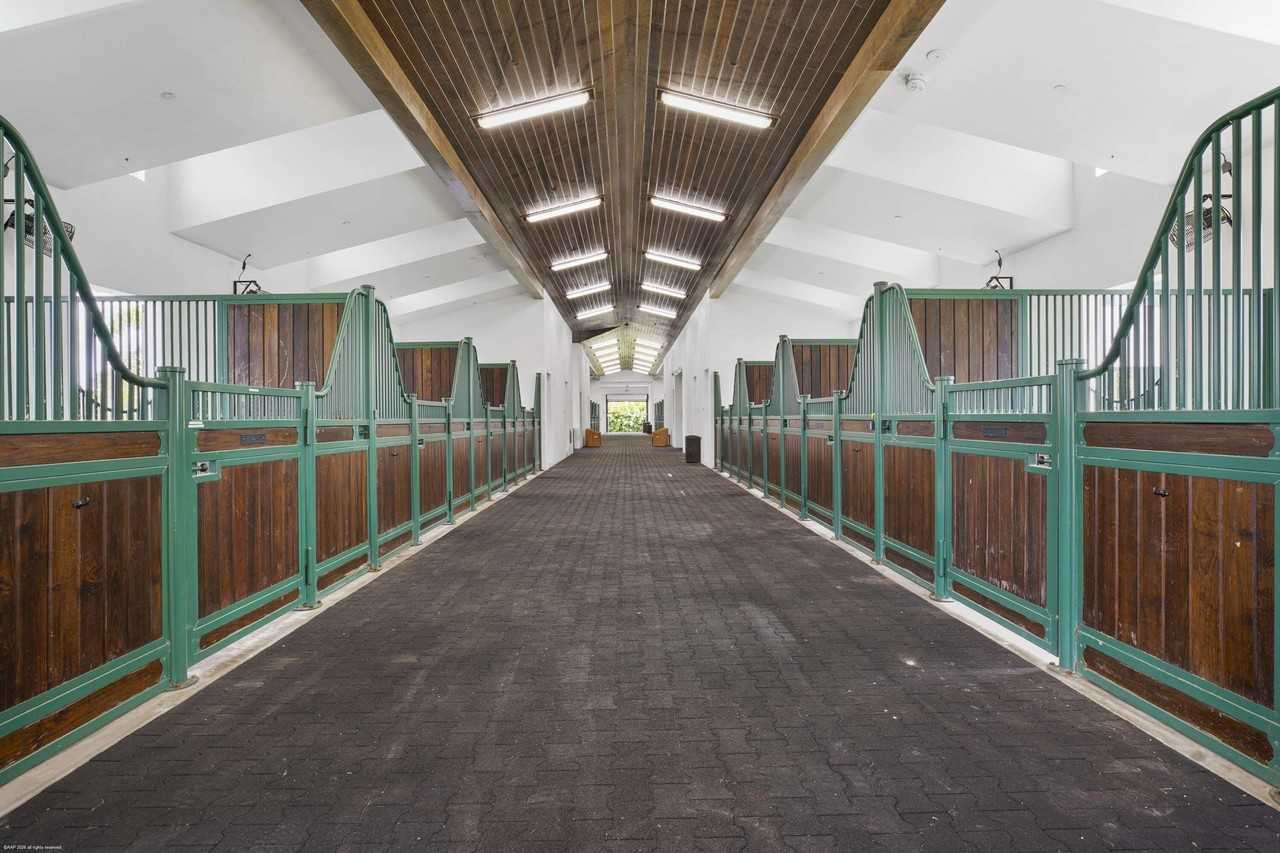 2600 Appaloosa Trl - Photo 4 of 25
