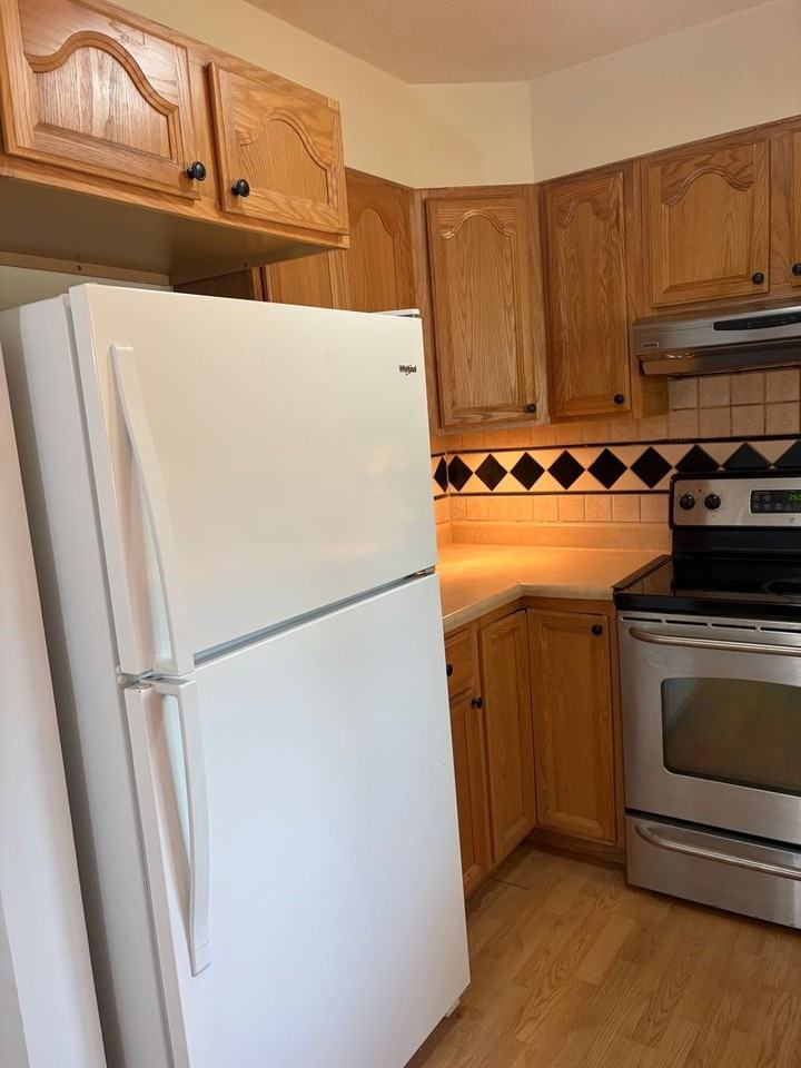 920 Galen Dr - Photo 6 of 12