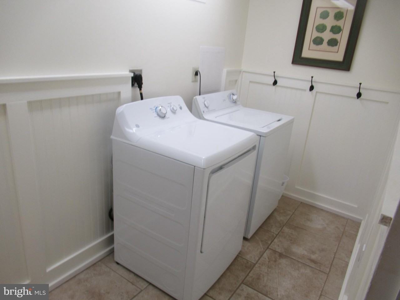 803 Purple Martin Ct #211 - Photo 7 of 14