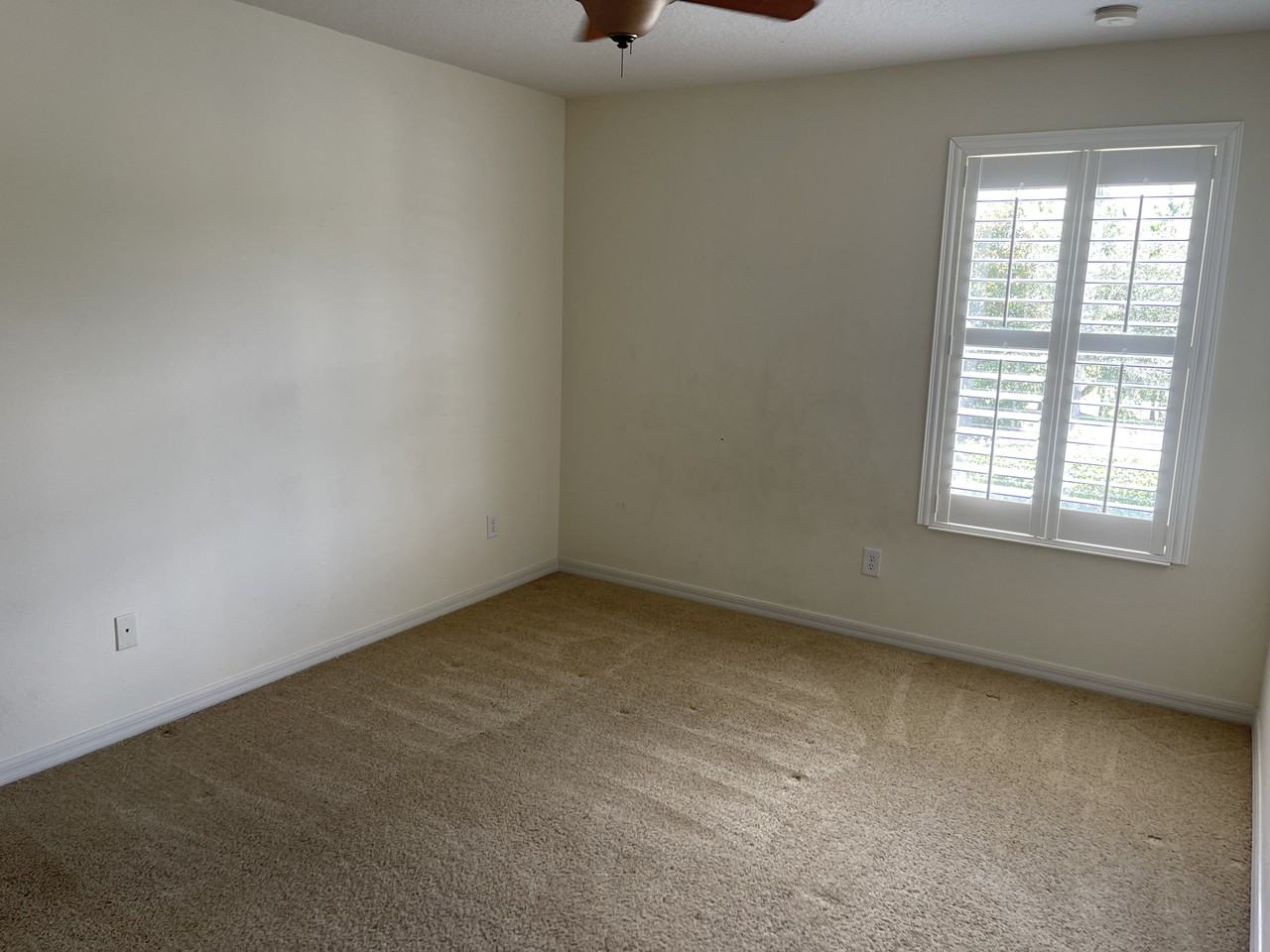2905 Winglewood Cir - Photo 6 of 20