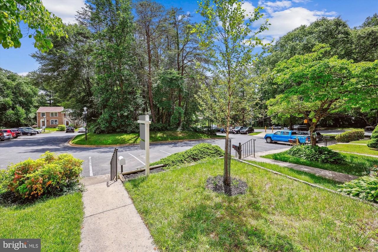 10121 Watkins Mill Pl - Photo 3 of 50