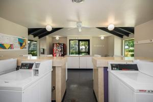 featured image of 920 Cranbrook Ct