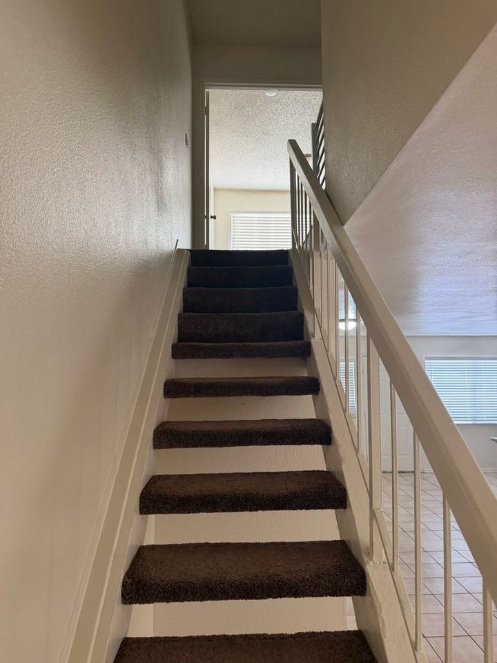 3523 Mercury St #D - Photo 3 of 11