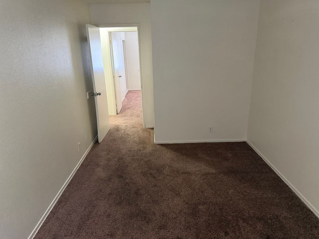 3523 Mercury St #D - Photo 5 of 11