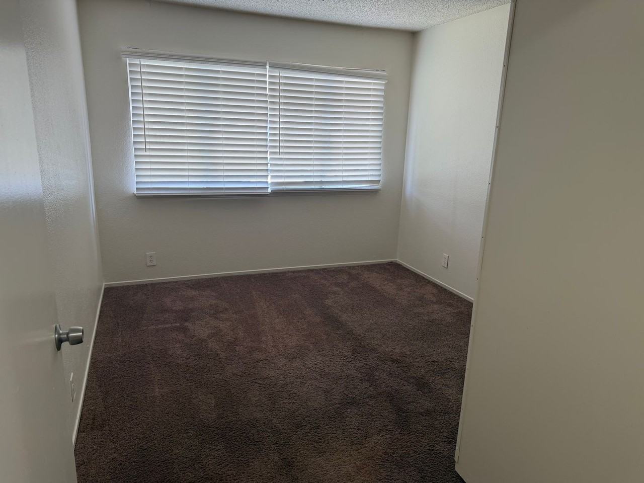 3523 Mercury St #D - Photo 6 of 11