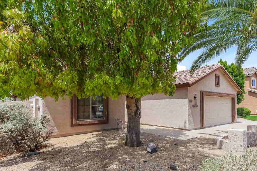 20810 N 74th Ln - Photo 3 of 16