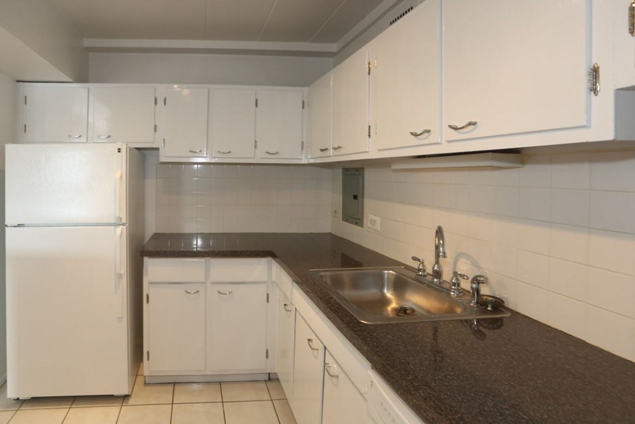 1447 West Touhy - Photo 2 of 19