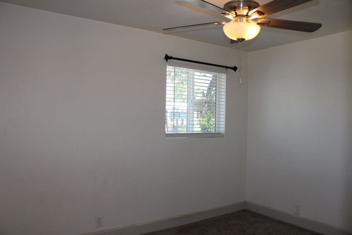 6526 E Calle Dened - Photo 6 of 14