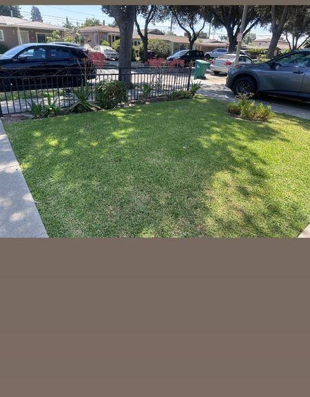3615 Caspian Ave - Photo 4 of 6