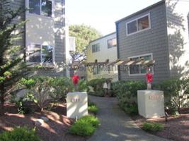 featured image of 868 Lighthouse Ave #M