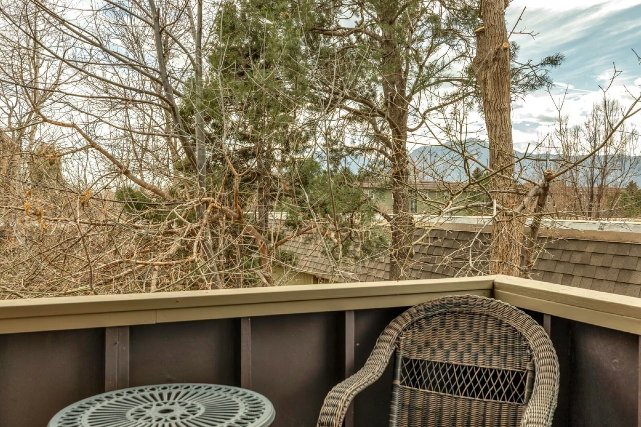 3345 Chisholm Trl - Photo 6 of 8