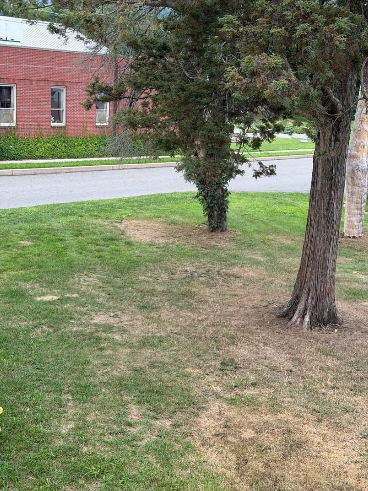 709 Main St - Photo 7 of 19