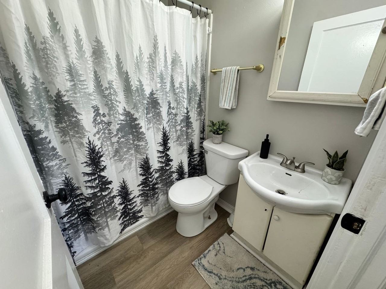 547 Reed St - Photo 4 of 19