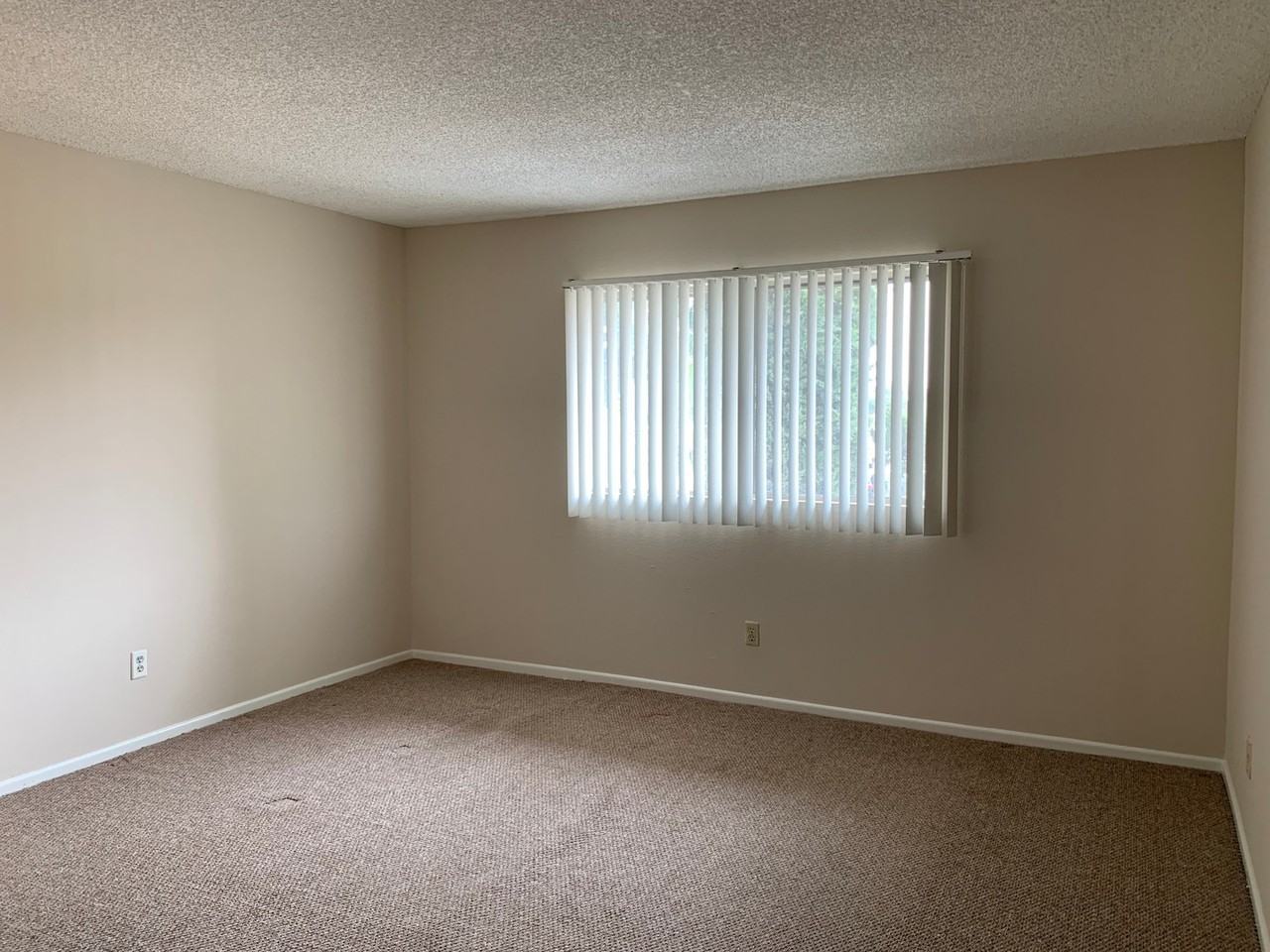 921 Mount Olive Dr - Photo 6 of 16
