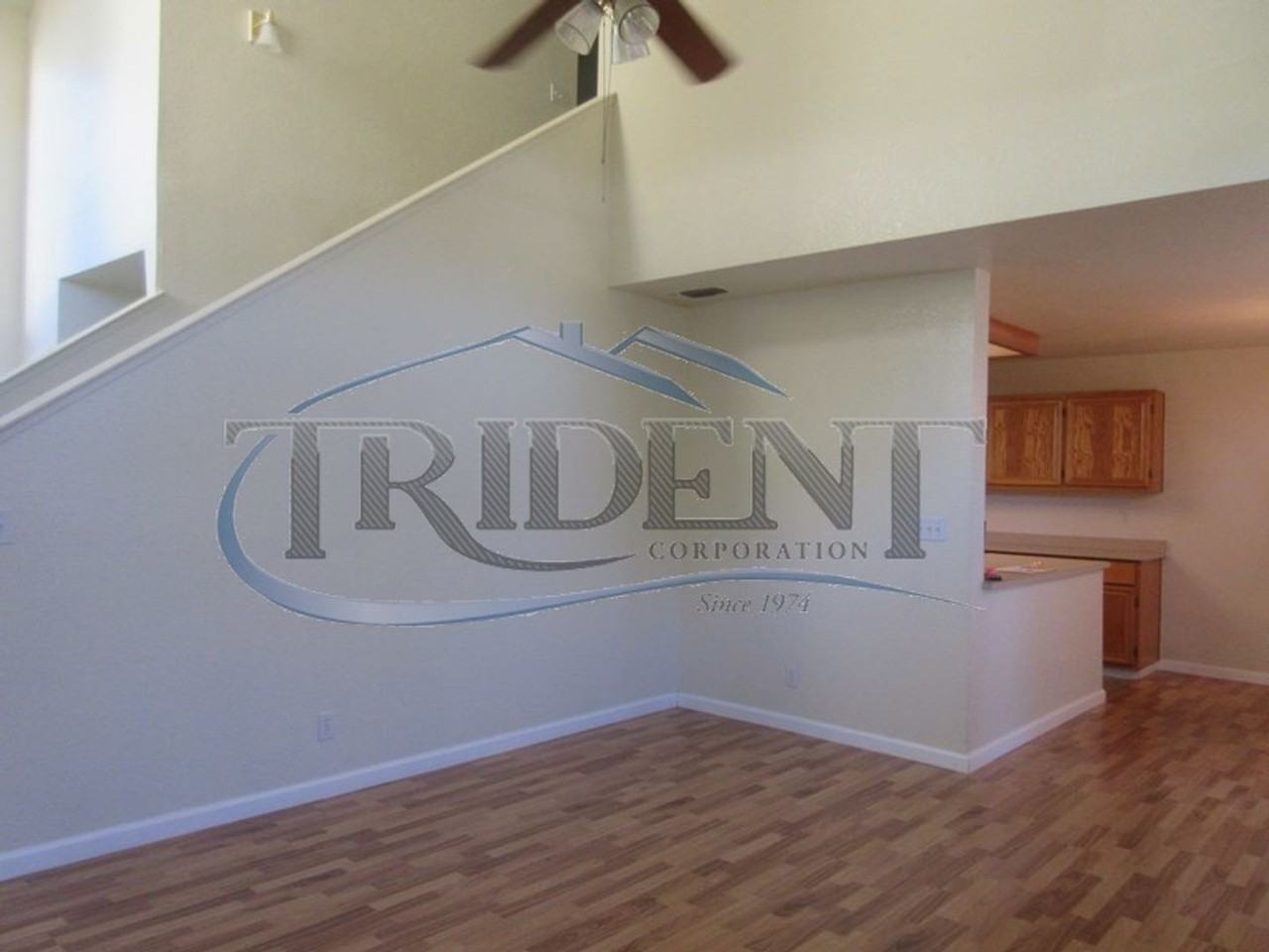 1670 Wildflower Cir - Photo 5 of 18
