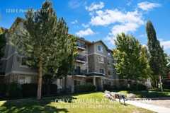 1230 E Privet Dr #102 - Photo 1 of 1