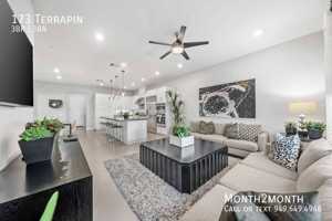 featured image of 173 Terrapin