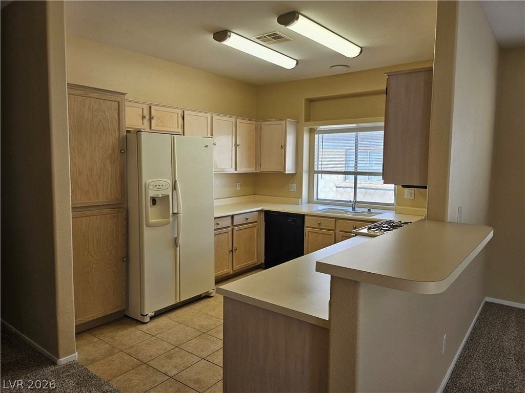 6900 Indian Chief Dr #203 - Photo 3 of 13