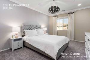 featured image of 10311 Penguin Ct