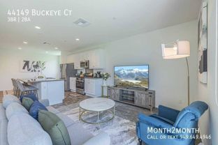 44149 Buckeye Ct - Photo 1 of 1