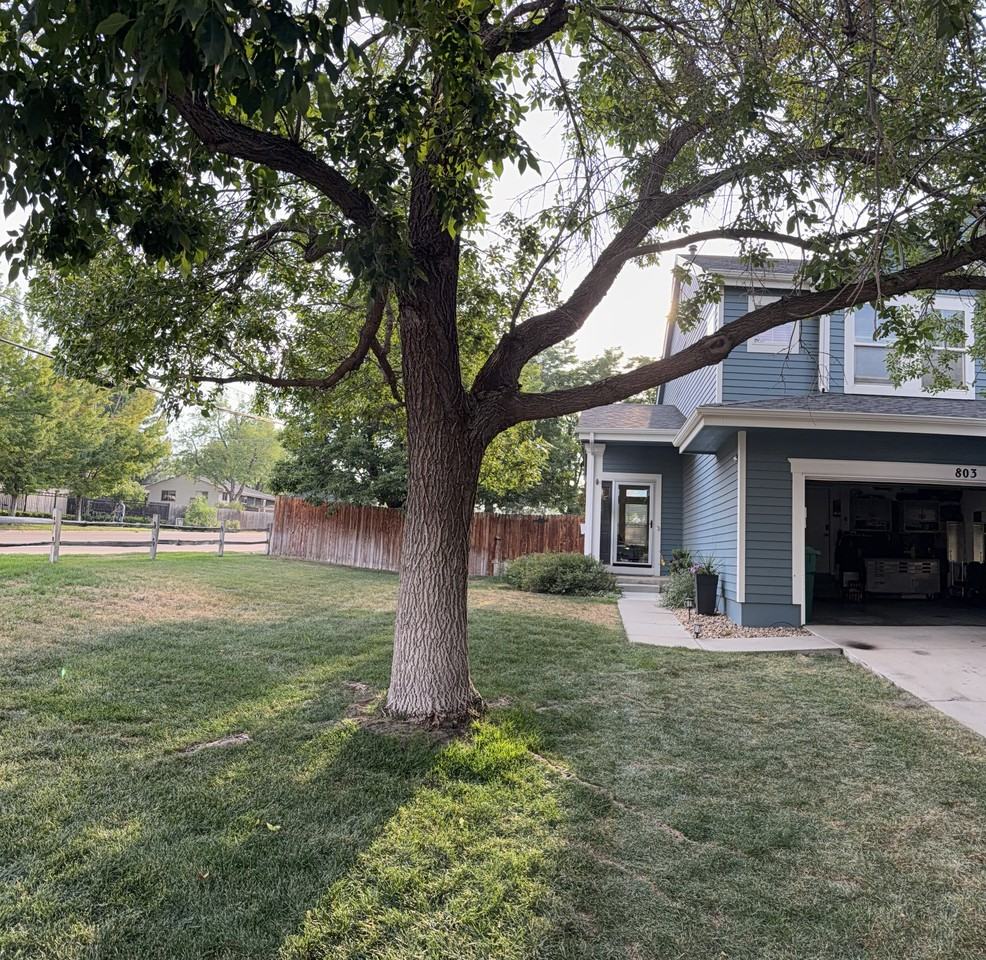 803 Union St - Photo 2 of 18