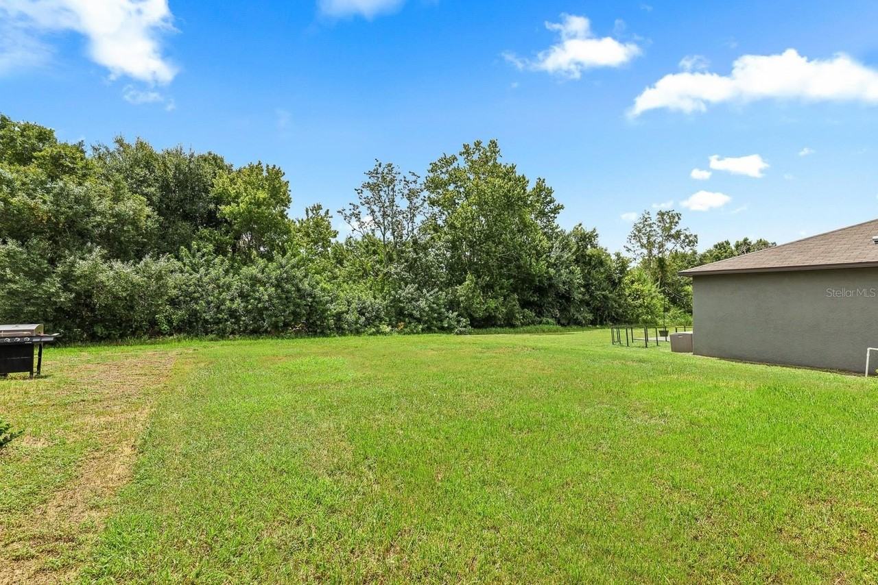 5552 Blue Azure Dr - Photo 5 of 31