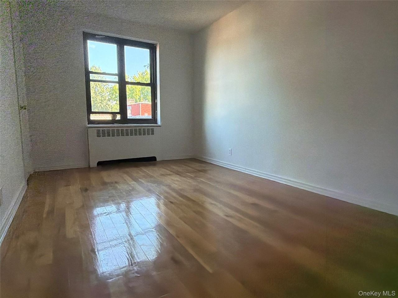 21 Schenck Ave #2AC - Photo 5 of 9