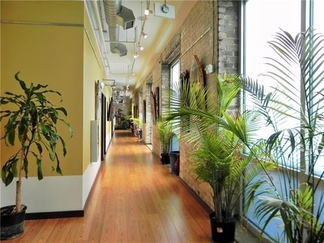 923 Constance St #101 - Photo 4 of 22